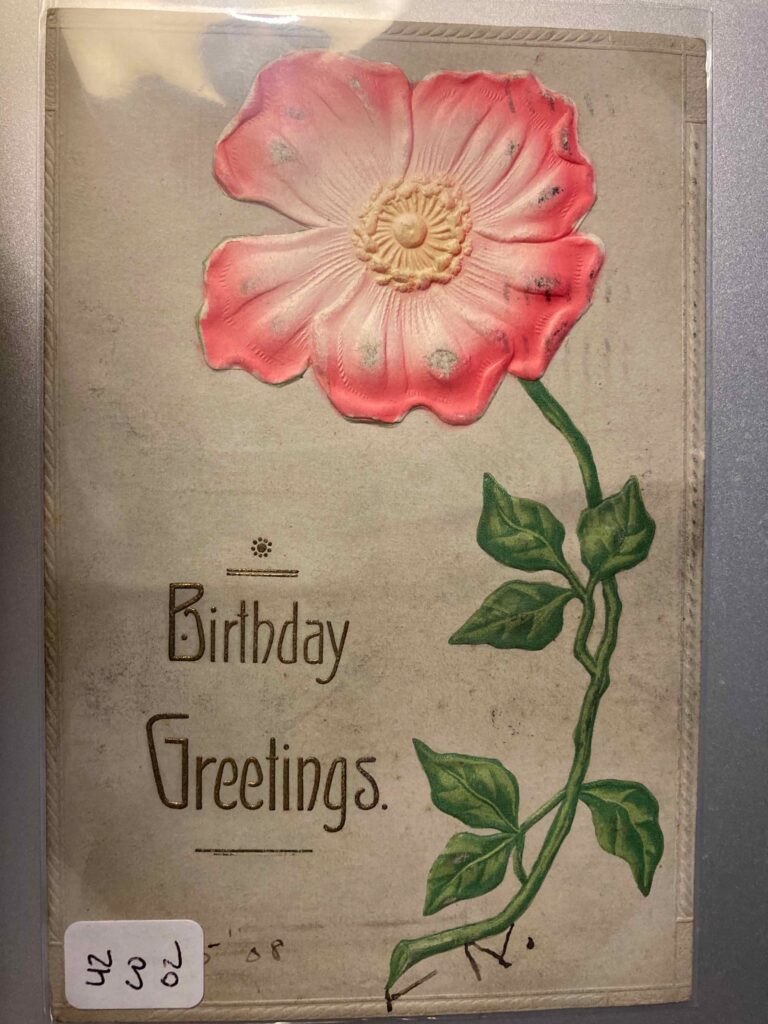 Pink flower with caption "Birthday Greetings"