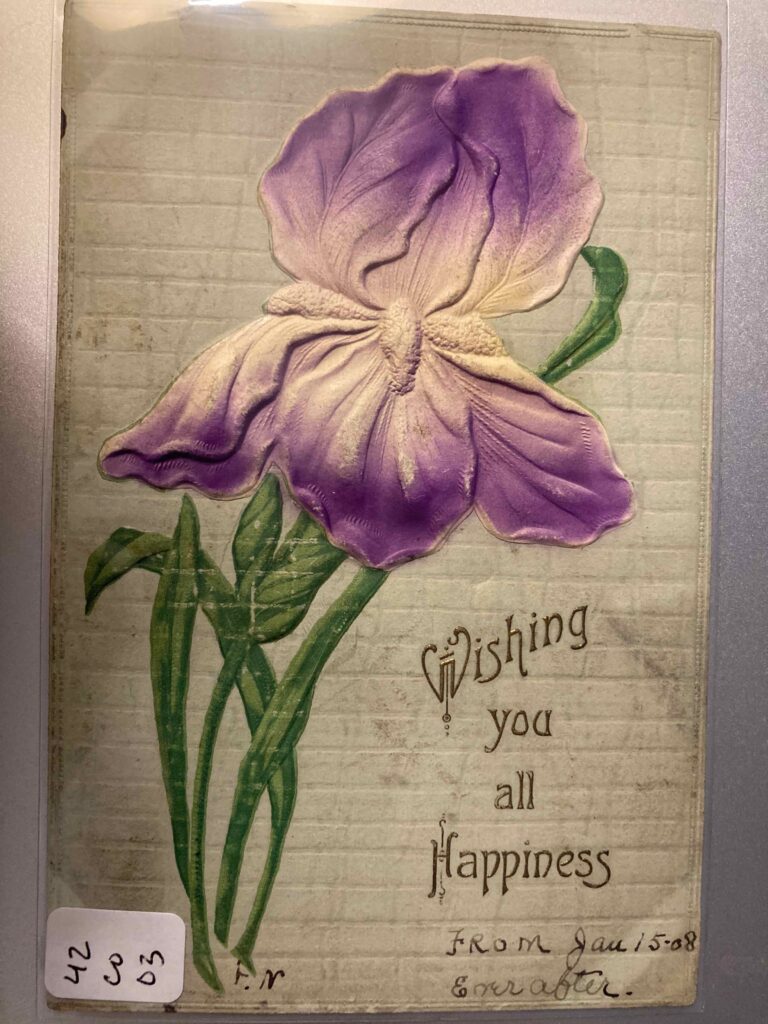 Purple flower with caption "Wishing you all Happiness" to which Fred added "From Jan 15-08 Everafter"
