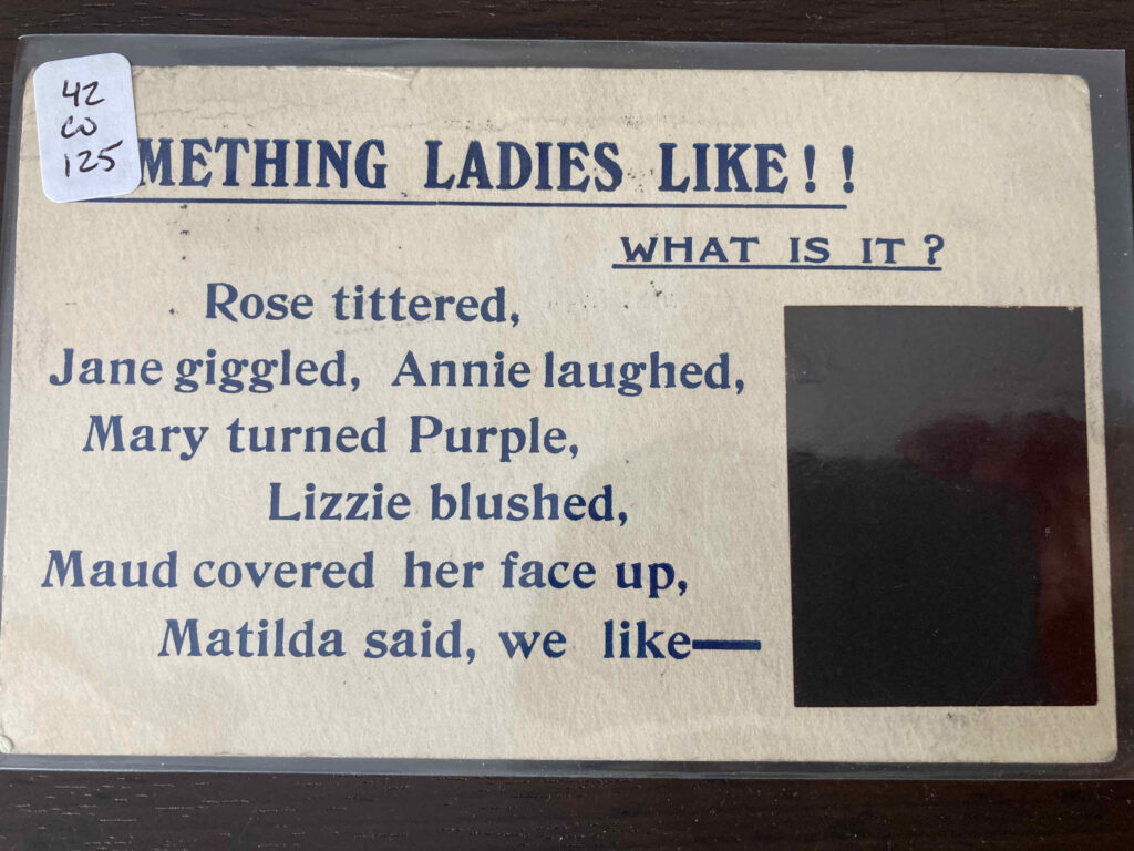 Something Ladies Like! What is it? Rose tittered, Jane giggled, Annie laughed, Mary turned Purple, Lissie blushed, Maud covered her face up, Matilda said, we like ____"